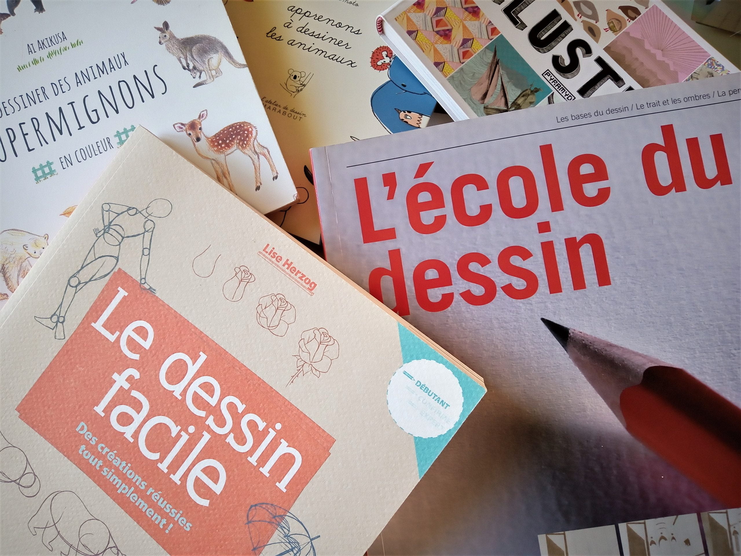 livre apprendre à dessiner