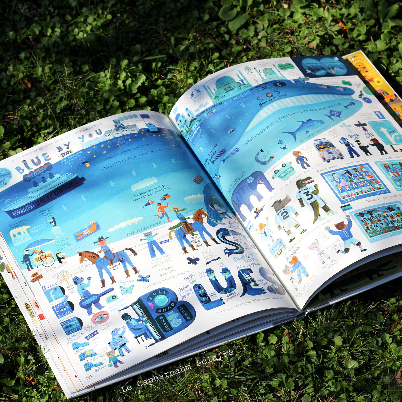 Découvrez le Plus Beau Livre du Monde : Une Ode à la Beauté Littéraire