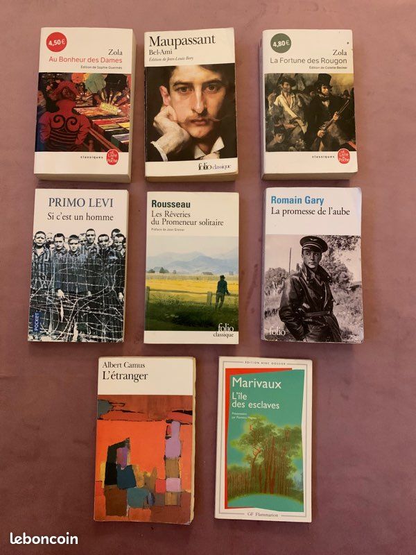 Exploration de la Richesse de la Littérature Classique