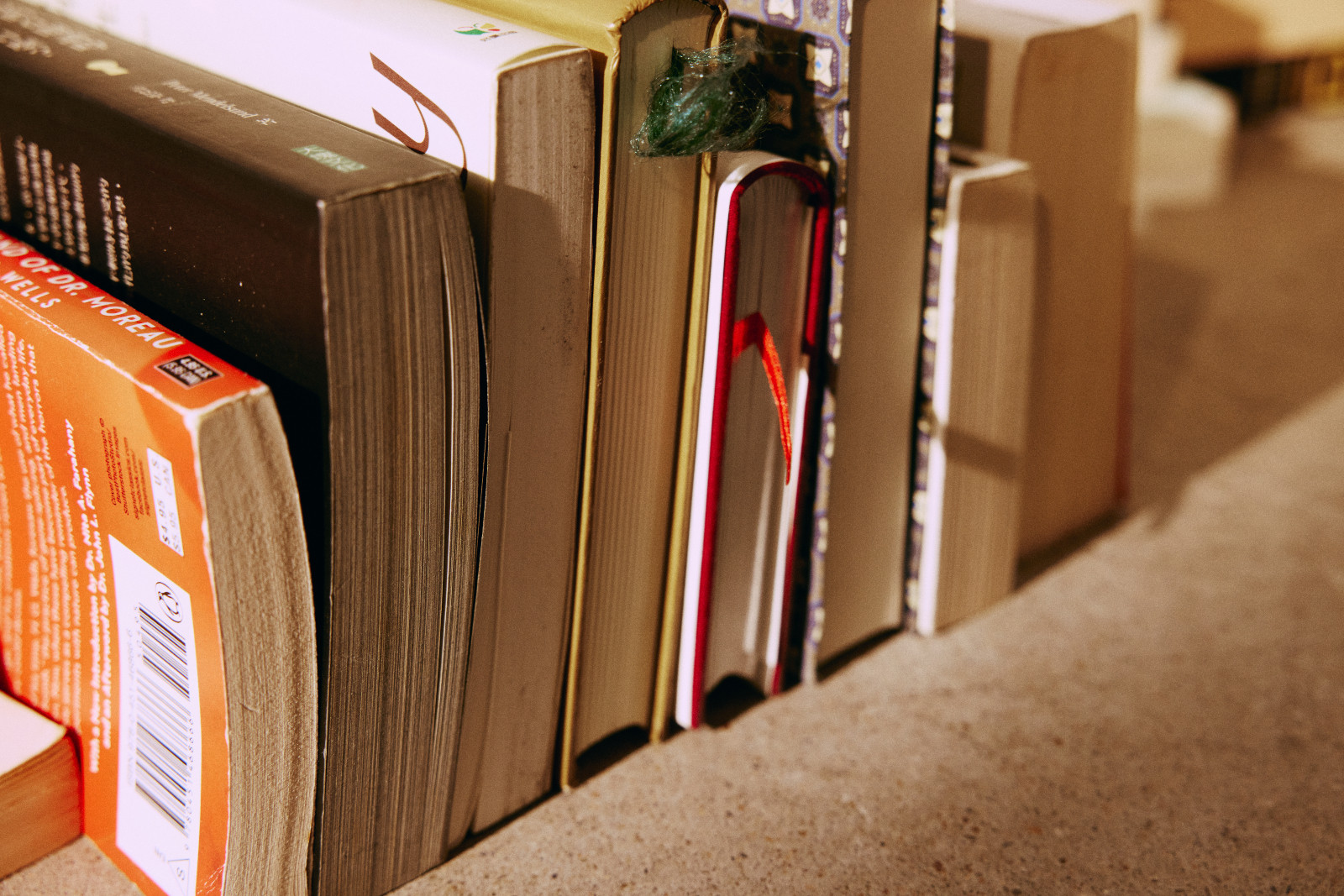 Littérature classique à lire : 8 œuvres incontournables à découvrir